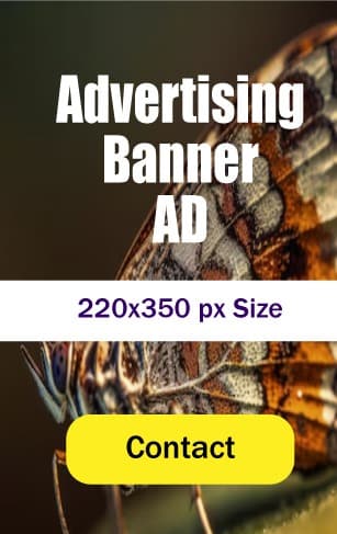 Advertisement 2